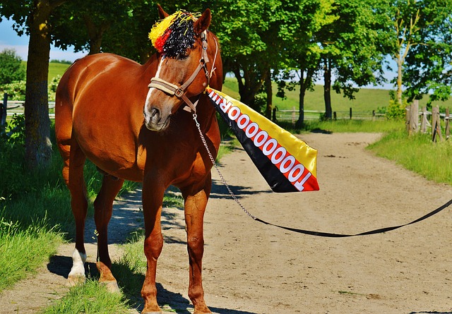 运动的负面 运动的负面