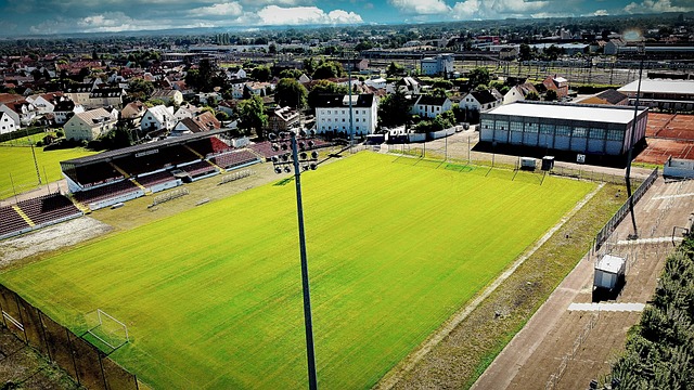 袖氣質將起 袖氣質將起