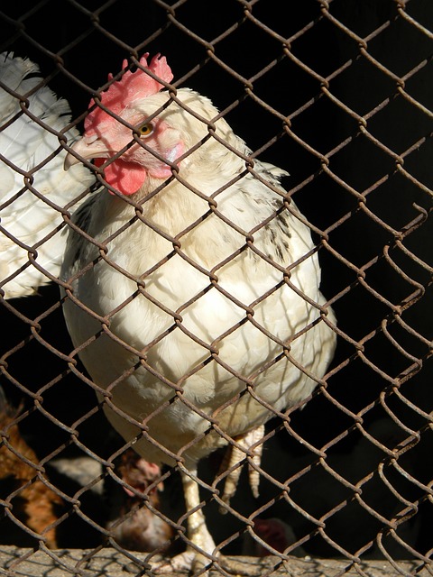 严重影响了 严重影响了