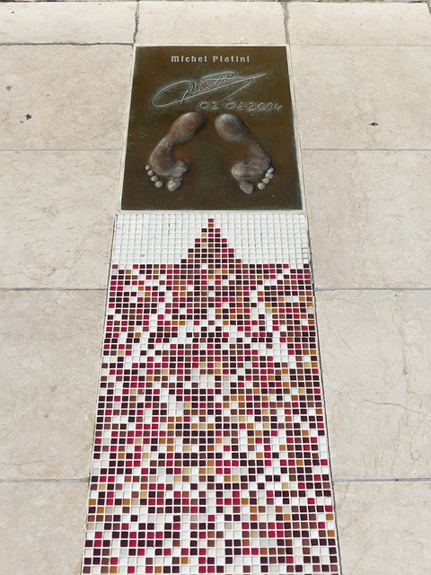 專業分析師 專業分析師