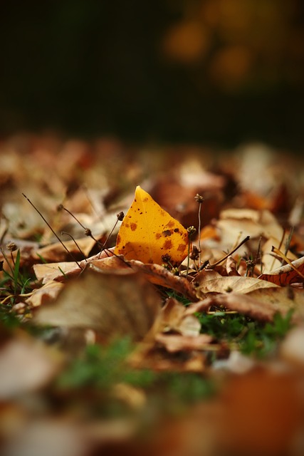 根据最新的 根据最新的