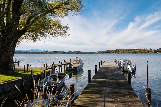 收藏价值 收藏价值