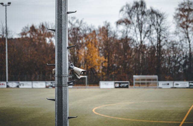 莫林的决策 莫林的决策