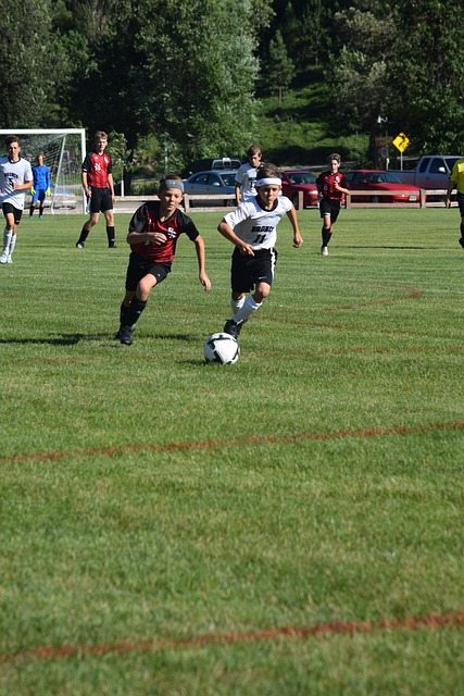 菲联门将 菲联门将